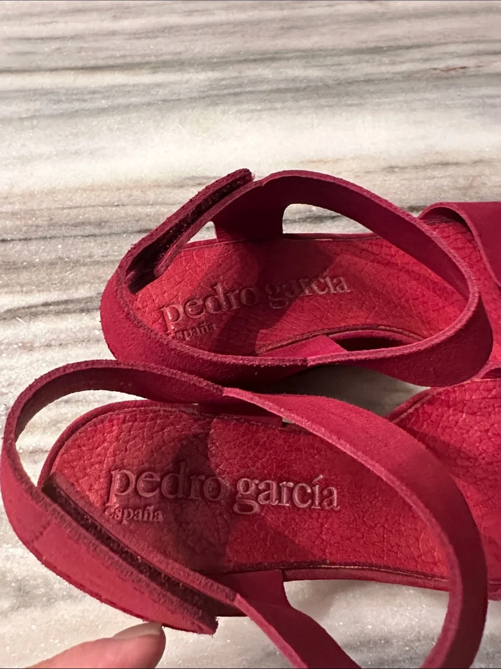 Pedro Garcia suede wedge